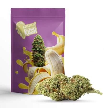 BANANA KUSH KWIAT CBD COCORIKUSH