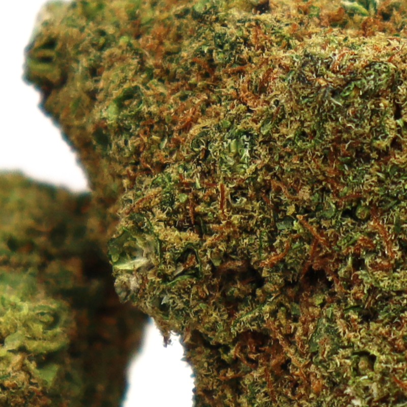 HOLLYWOOD KWIAT CBD COOKIES