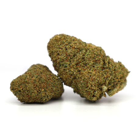 ADIOS MOTHER F*CKER! KWIAT... - alt