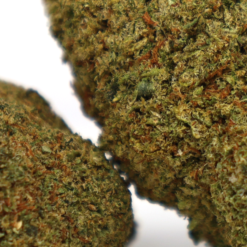 ADIOS MOTHER F*CKER! KWIAT CBD COOKIES