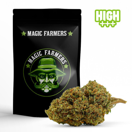 MR NICE 30% KWIAT 10-OH-HHC