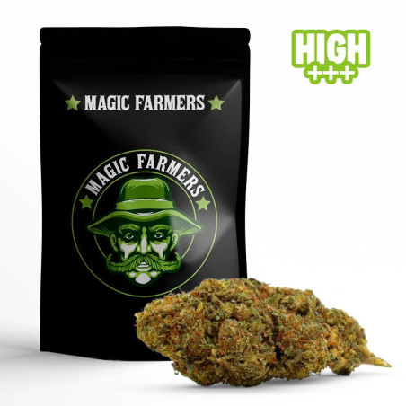 MIMOSA 30% KWIAT 10-OH-HHC