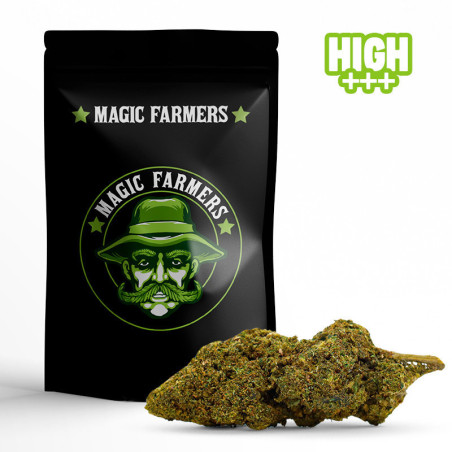 CASPER 30% KWIAT 10-OH-HHC