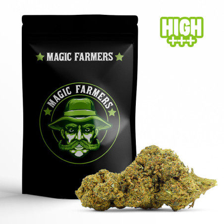 EARLY GIRL 30% KWIAT 10-OH-HHC