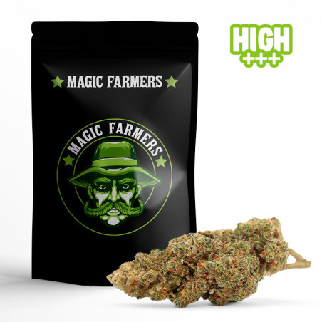 WEEDY WONKA 30% KWIAT 10-OH-HHC