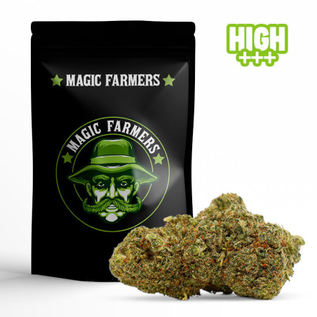 BLUE MANGO 30% KWIAT 10-OH-HHC