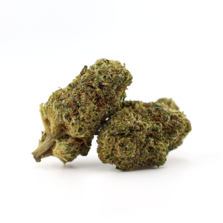 GODZILLA PUNCH 25% KWIAT THCA