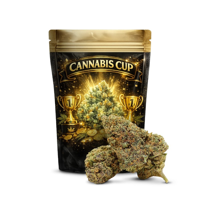 GELATO 41 40% KWIAT THCA