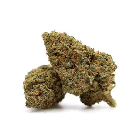 GELATO 41 40% KWIAT THCA - alt