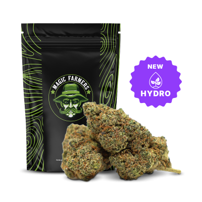 Susz Hydro King Louis 37% THCA, 850, sixty8.pl
