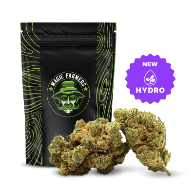 Suzs Hydro Champagne Haze..., 848, sixty8.pl