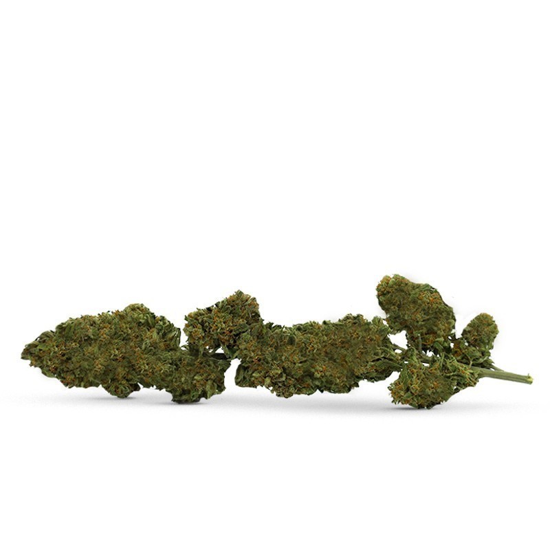 KWIAT CBD NA ŁODYDZE STRAWBERRY QUEEN