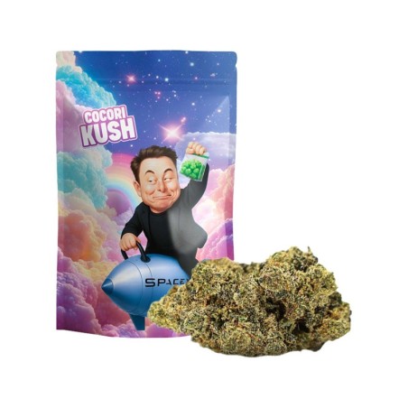 ELON DREAM KWIAT HEC-10