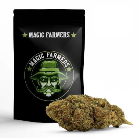 MIMOSA 30% KWIAT 10-OH-HHC