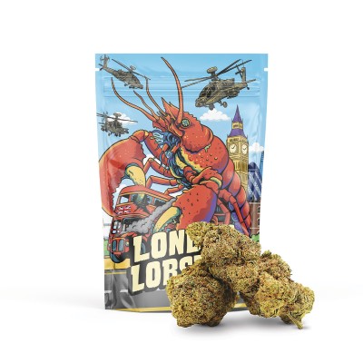 Susz London Lobster 50%..., 871, sixty8.pl
