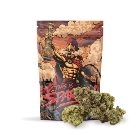 THIS IS SPARTA! 50% KWIAT MAGIC SAUCE