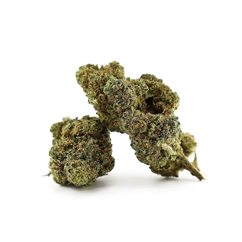 LA CHUPACABRA 50% KWIAT MAGIC SAUCE