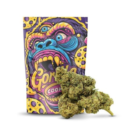 GORILLA COOKIES 50% MAGIC SAUCE KWIAT