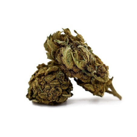 ALASKAN THUNDER FUCK 30%... - alt