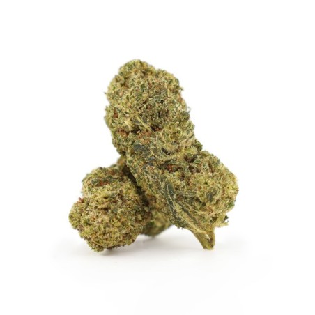 FLYING DUTCHMAN 25% KWIAT THCA - alt