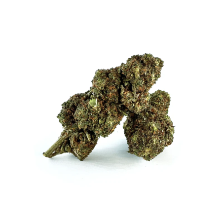 MELONADE 31% KWIAT THCA - alt