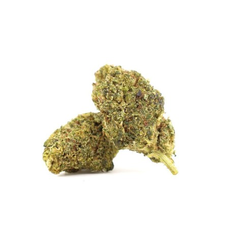 PANNA COTTA 34% KWIAT THCA - alt