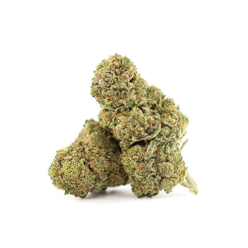 DIDDY’S LOTION 23% KWIAT THCA