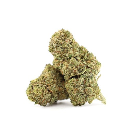 DIDDY’S LOTION 23% KWIAT THCA - alt