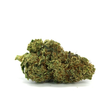 GMO COOKIES 50% KWIAT CBD