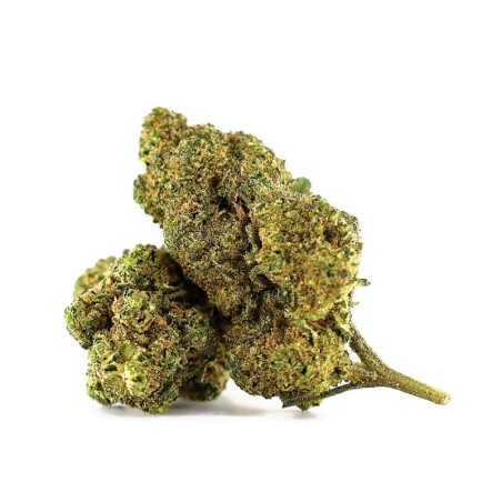 WHITE CHOCO SKITTLEZ KWIAT... - alt