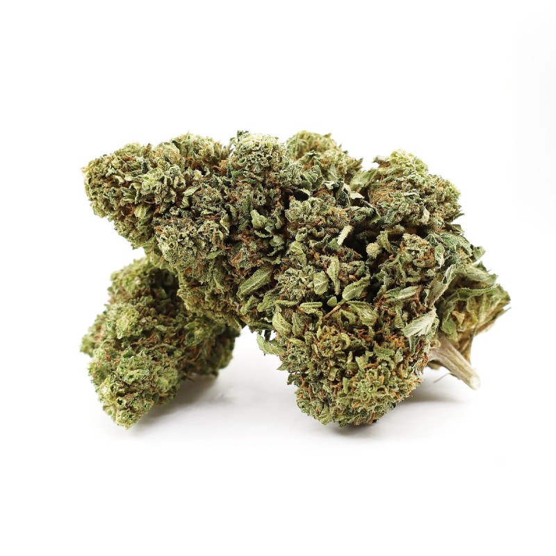 GRAPE ZENZU KWIAT THCA