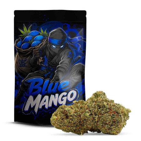 Blue Mango 10-OH+ | Owocowy Kwiat & Relaxujący