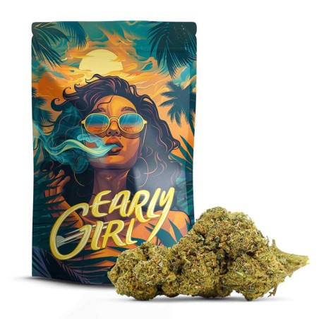 Early Girl 10-OH+ | Kwiat CBD Nowej Generacji