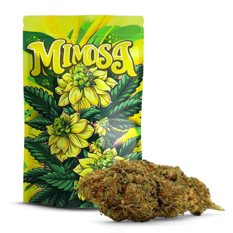Mimosa 10-OH+ | Kannabinoid nowej generacji o działaniu Relaxantnym
