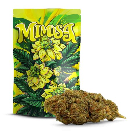 Mimosa 10-OH+ | Kannabinoid nowej generacji o działaniu Relaxantnym