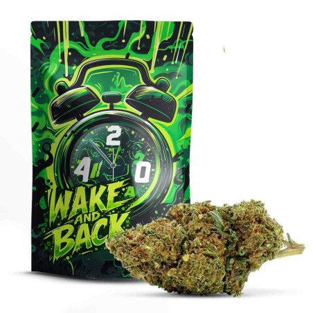 Wake And Bake 30% 10-OH+ | Świeży i energetyzujący kwiat