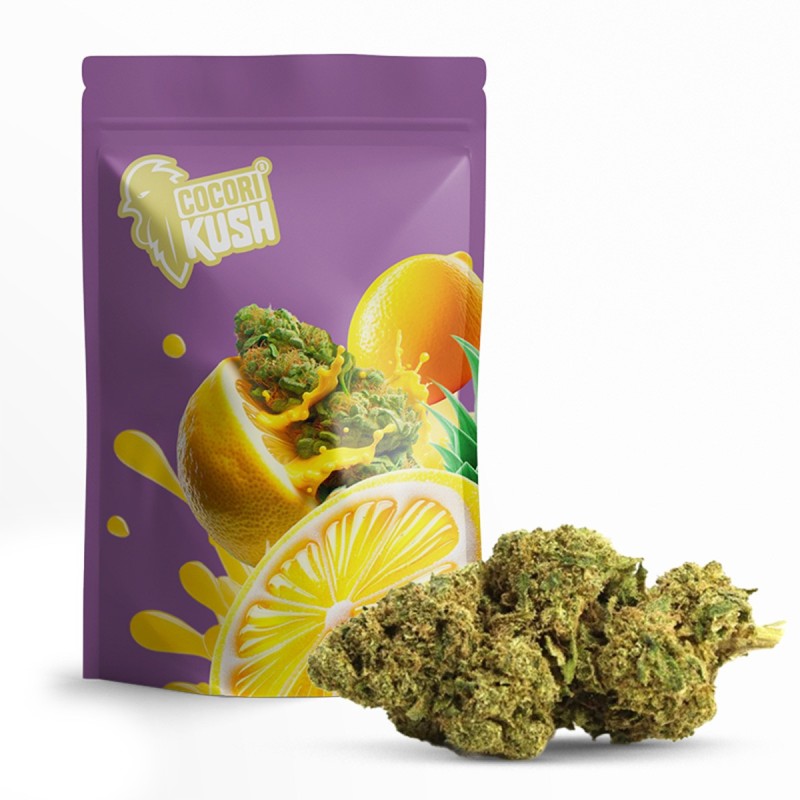 AMNESIA 50% KWIAT CBD