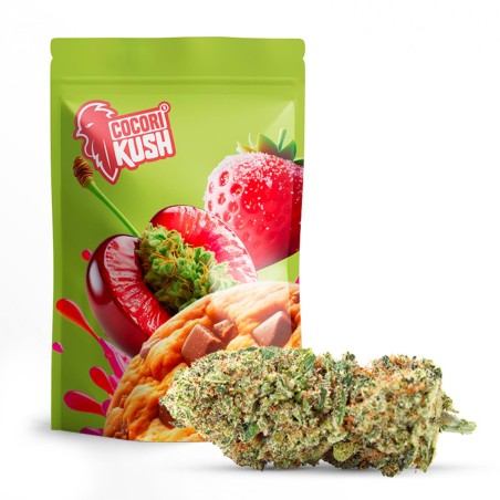 GMO COOKIES 50% KWIAT CBD