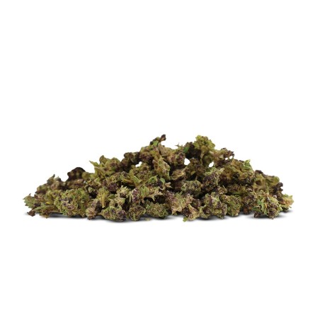 Purple Urkle small buds 50% DELTA 10 Fleur | Sixty8