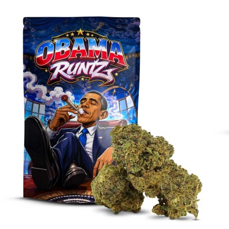 Obama Runtz DELTA 10 | Kwiat Premium o Owocowych Smakach | Sixty8