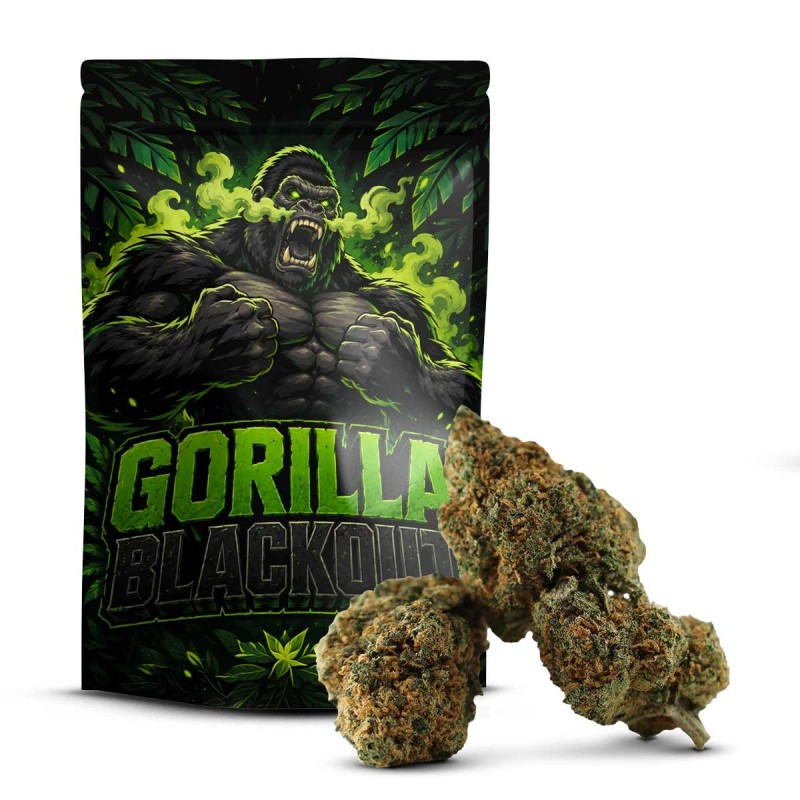 Gorilla Blackout 50% Delta 10 | Mocny Kwiat Premium | Sixty8
