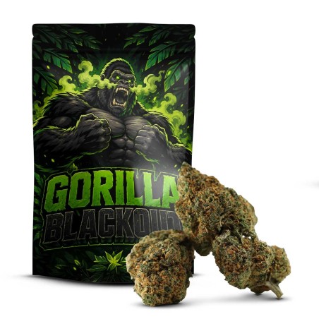 Gorilla Blackout 50% Delta 10 | Mocny Kwiat Premium | Sixty8