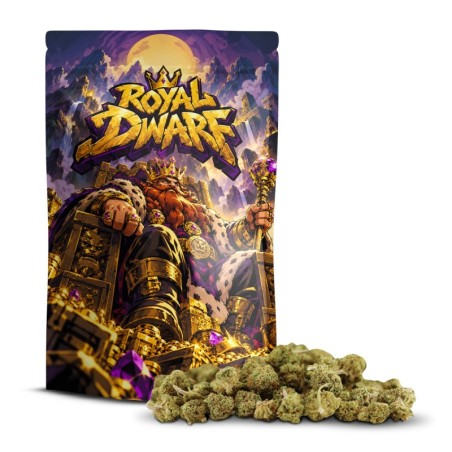 Royal Dwarf Small Buds 50% Delta-10 | Kwiat - Sixty8