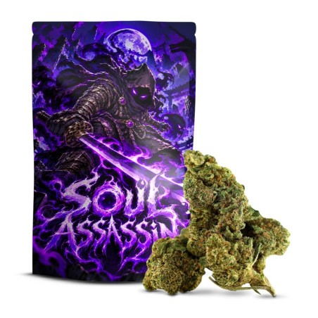 Soul Assassin Delta-10 50% – Mocny Kwiat | Sixty8
