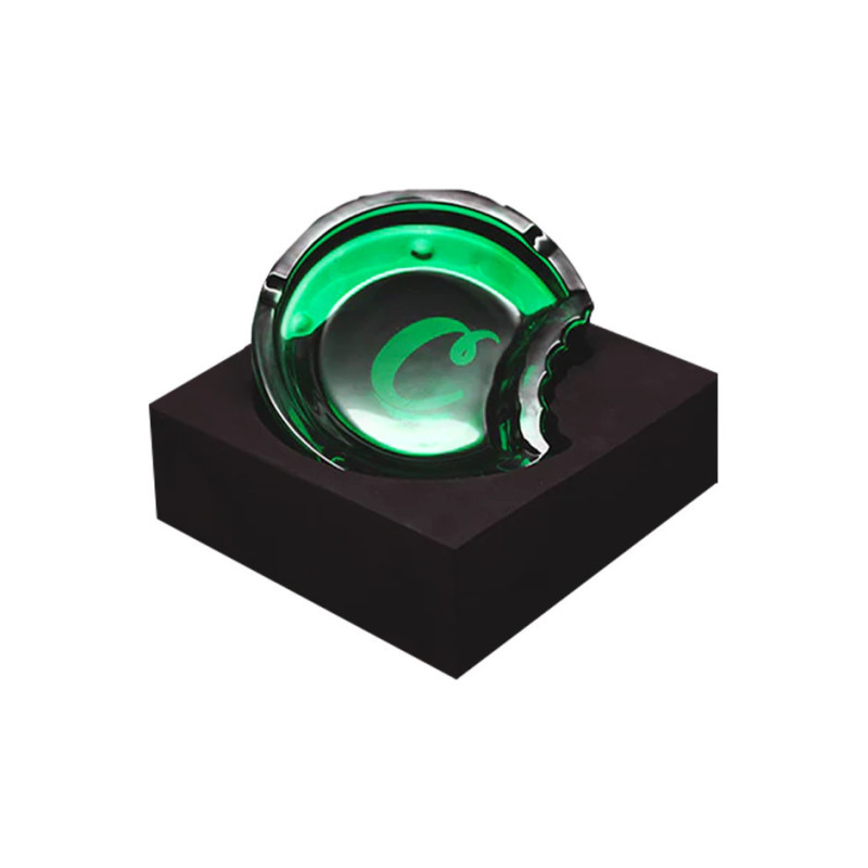 POPIELNICZKA GRYZIONA COOKIES®