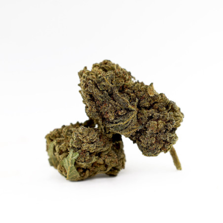 DONNY BURGER 50% KWIAT MAGIC SAUCE