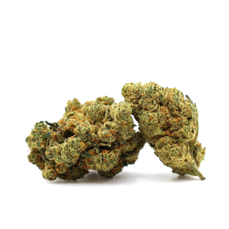 CHAMPAGNE HAZE 36% KWIAT THCA