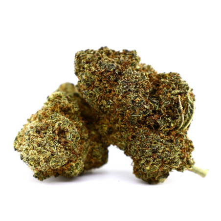 CHEETAH PISS INFUSED KWIAT... - alt