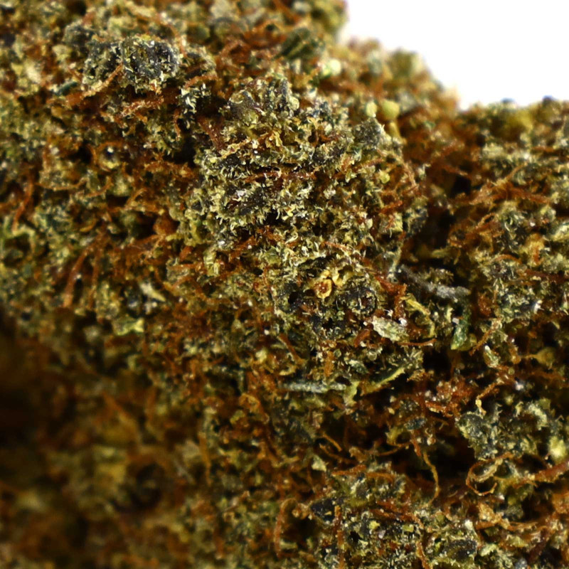 CHEETAH PISS INFUSED KWIAT COOKIES