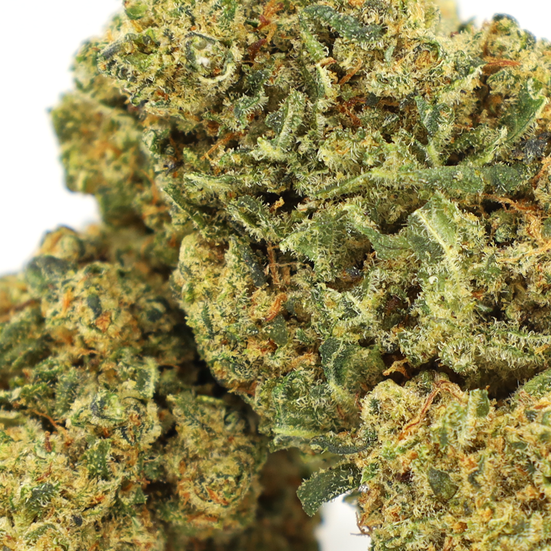 FISH SCALE INFUSED KWIAT COOKIES